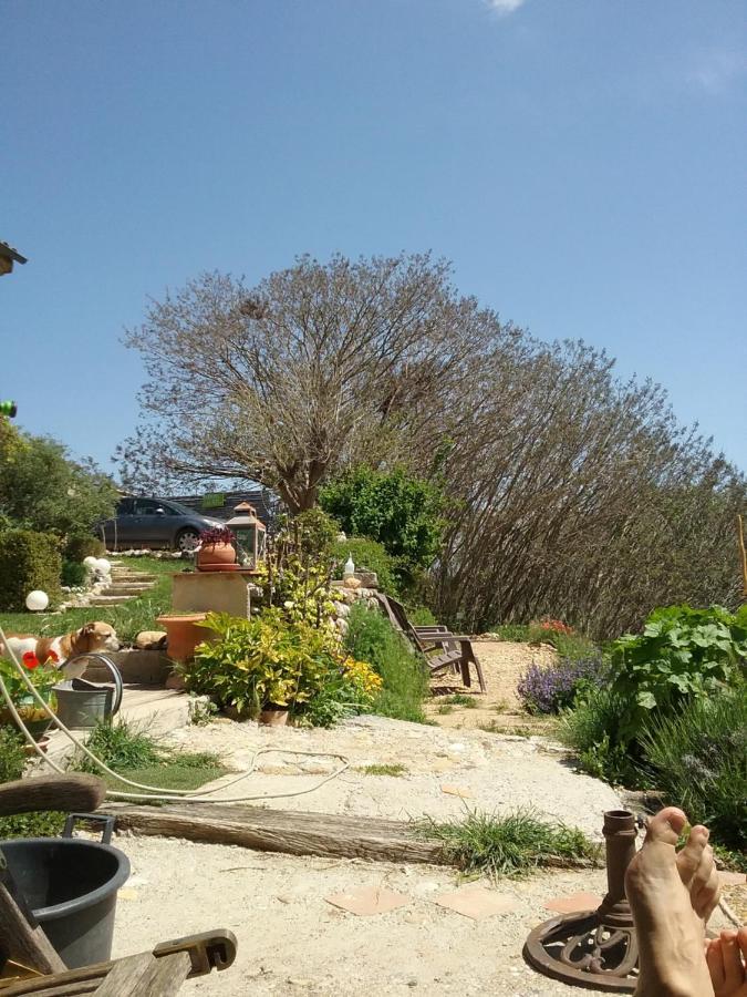 Le Petit Fabre Hotel Montagnac  Luaran gambar