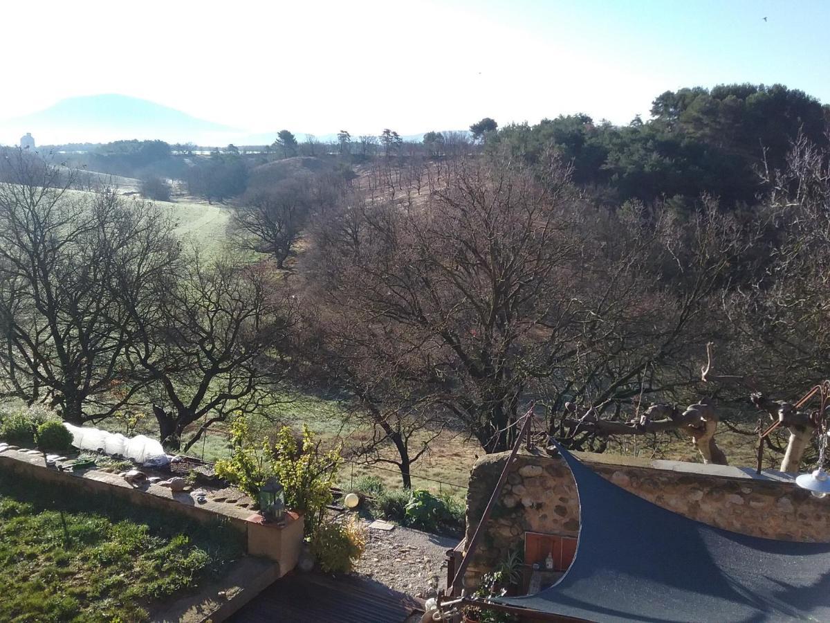 Le Petit Fabre Hotel Montagnac  Luaran gambar