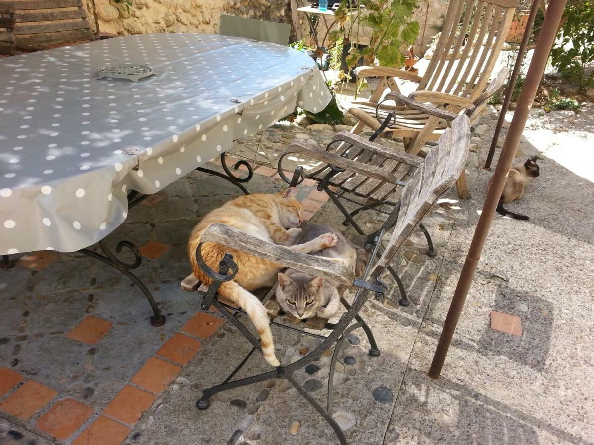 Le Petit Fabre Hotel Montagnac  Luaran gambar