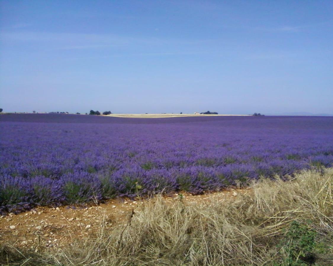 Le Petit Fabre Hotel Montagnac  Luaran gambar