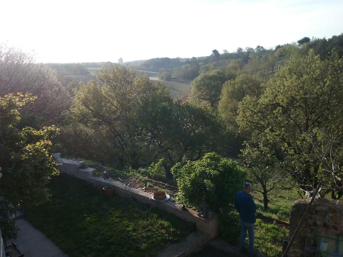Le Petit Fabre Hotel Montagnac  Luaran gambar