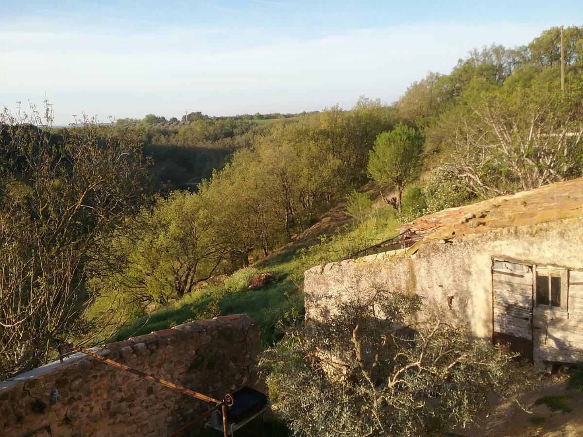 Le Petit Fabre Hotel Montagnac  Luaran gambar